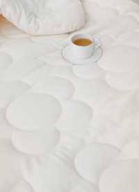 이미지를 찾을 수 없습니다.