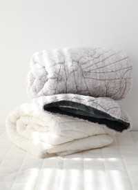 이미지를 찾을 수 없습니다.