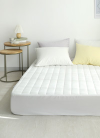 이미지를 찾을 수 없습니다.