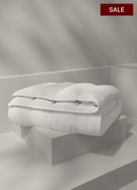 이미지를 찾을 수 없습니다.