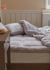 이미지를 찾을 수 없습니다.