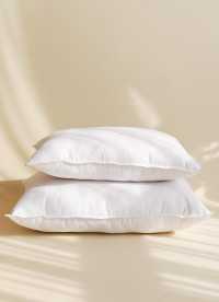 이미지를 찾을 수 없습니다.