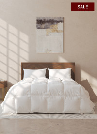 이미지를 찾을 수 없습니다.