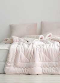 이미지를 찾을 수 없습니다.