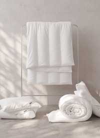 이미지를 찾을 수 없습니다.