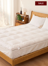 이미지를 찾을 수 없습니다.