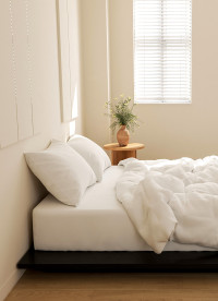 이미지를 찾을 수 없습니다.