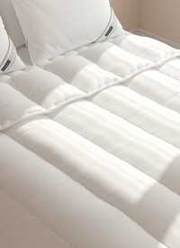 이미지를 찾을 수 없습니다.