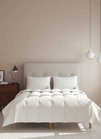 이미지를 찾을 수 없습니다.