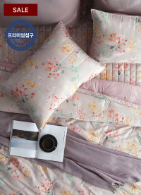 이미지를 찾을 수 없습니다.
