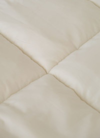 이미지를 찾을 수 없습니다.