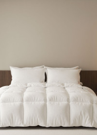 이미지를 찾을 수 없습니다.