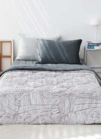 이미지를 찾을 수 없습니다.