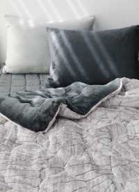 이미지를 찾을 수 없습니다.