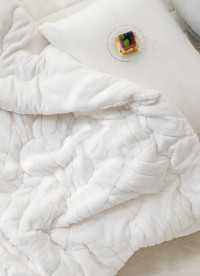 이미지를 찾을 수 없습니다.