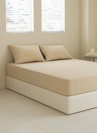 이미지를 찾을 수 없습니다.