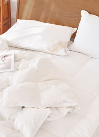 이미지를 찾을 수 없습니다.