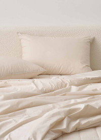 이미지를 찾을 수 없습니다.