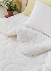 이미지를 찾을 수 없습니다.