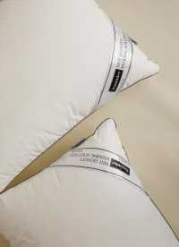 이미지를 찾을 수 없습니다.