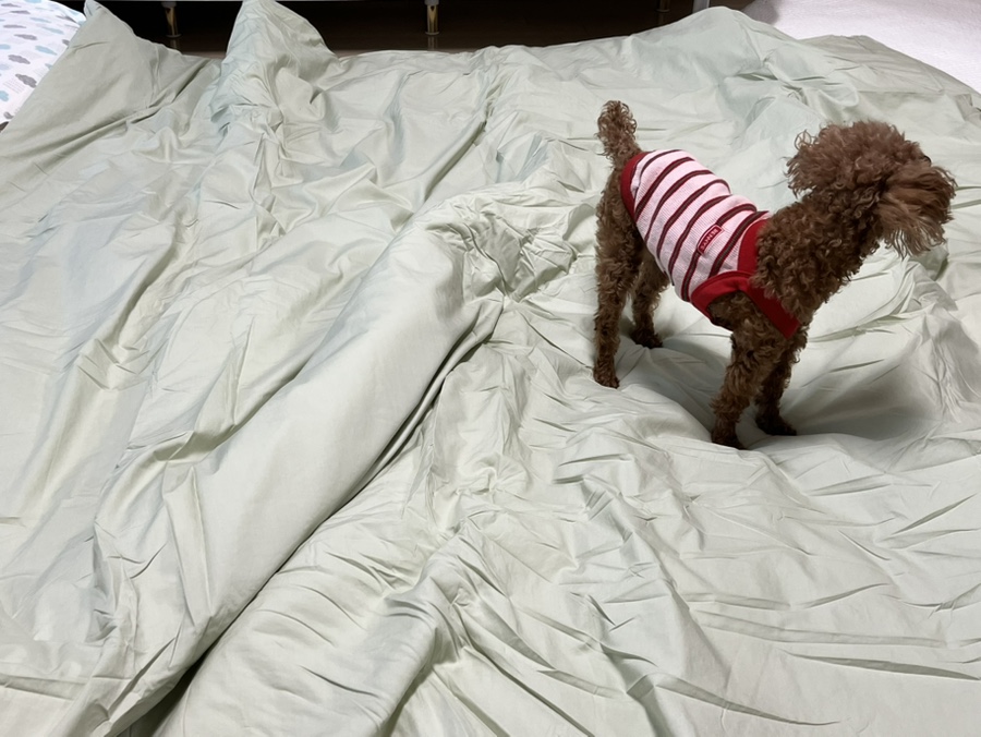 이미지를 찾을 수 없습니다.