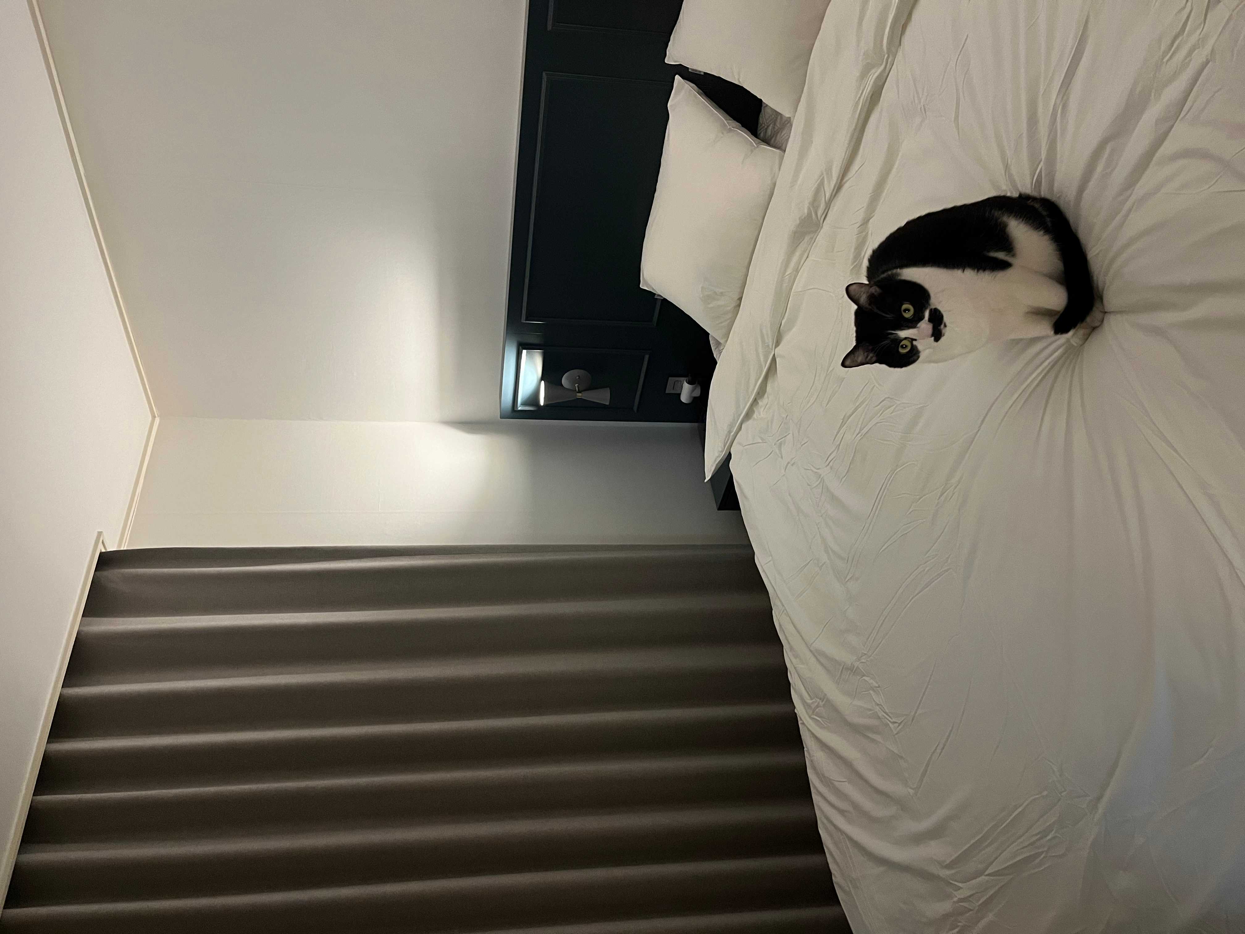 이미지를 찾을 수 없습니다.