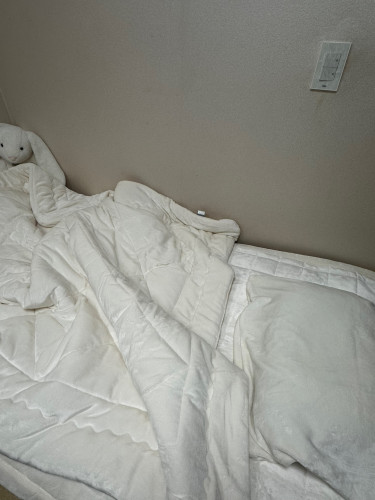 이미지를 찾을 수 없습니다.