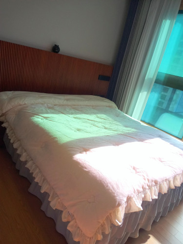 이미지를 찾을 수 없습니다.