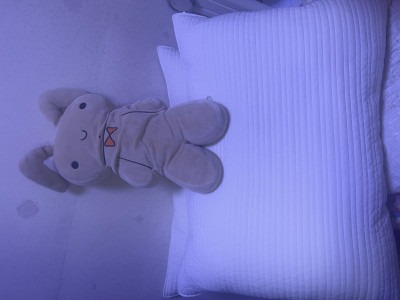 이미지를 찾을 수 없습니다.