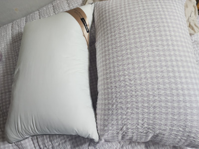 이미지를 찾을 수 없습니다.