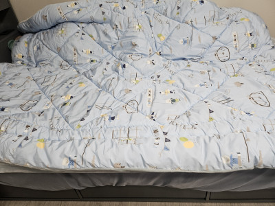 이미지를 찾을 수 없습니다.