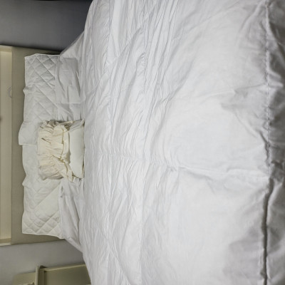 이미지를 찾을 수 없습니다.