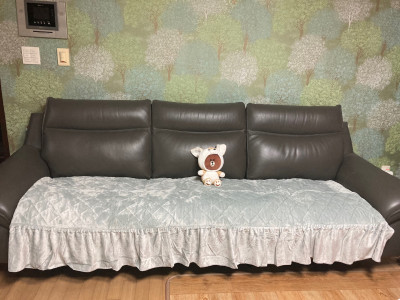 이미지를 찾을 수 없습니다.