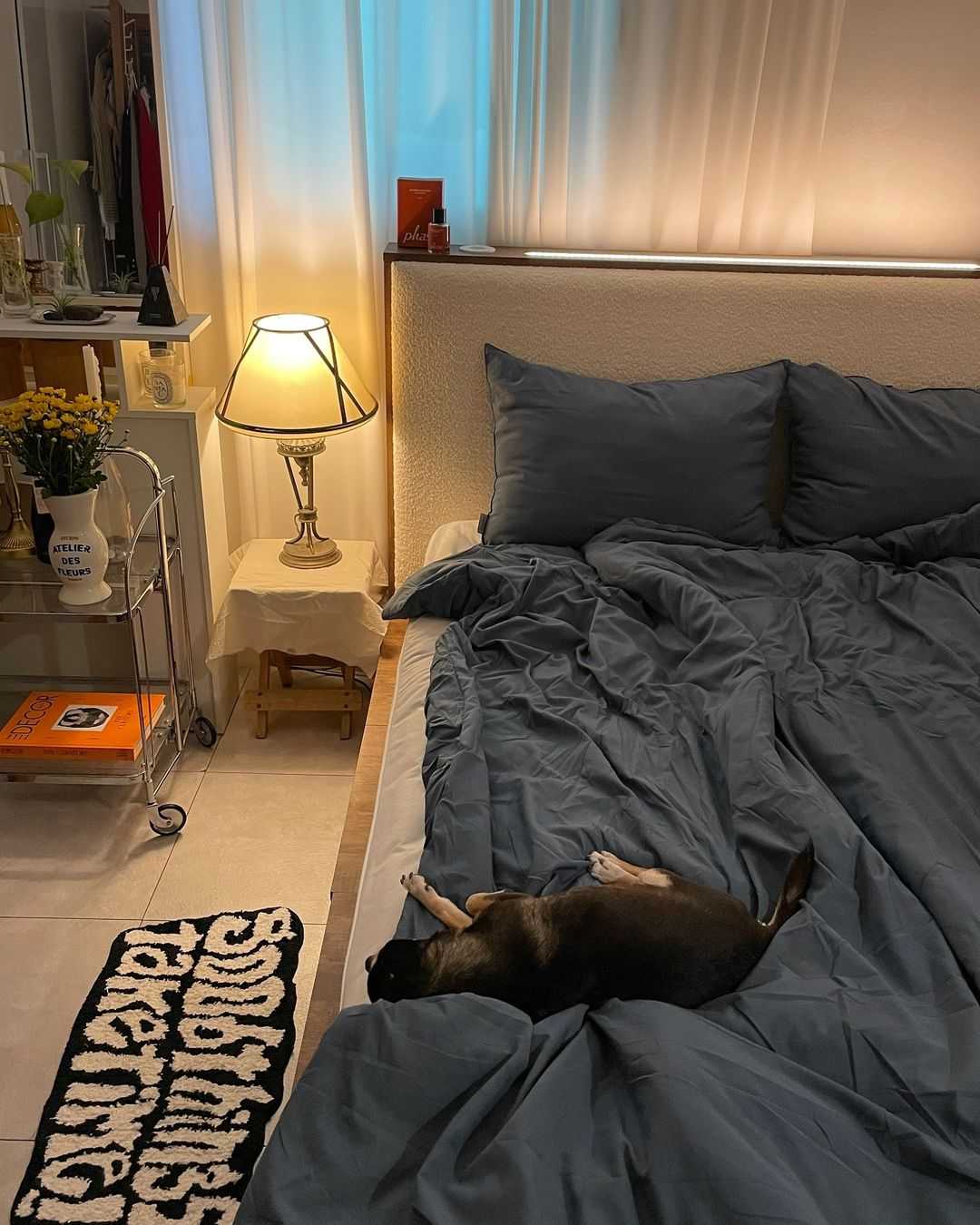 이미지를 찾을 수 없습니다.