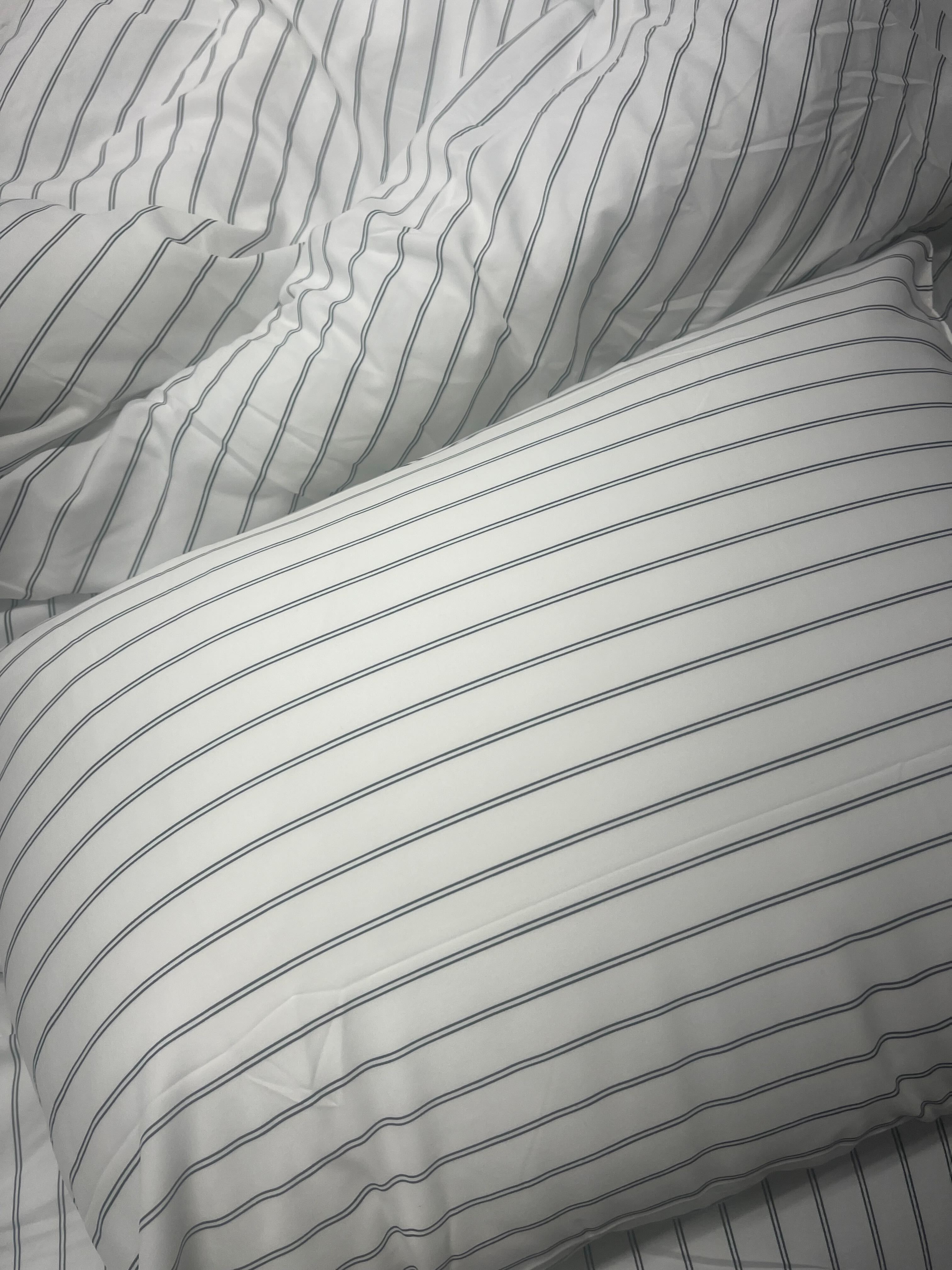 이미지를 찾을 수 없습니다.