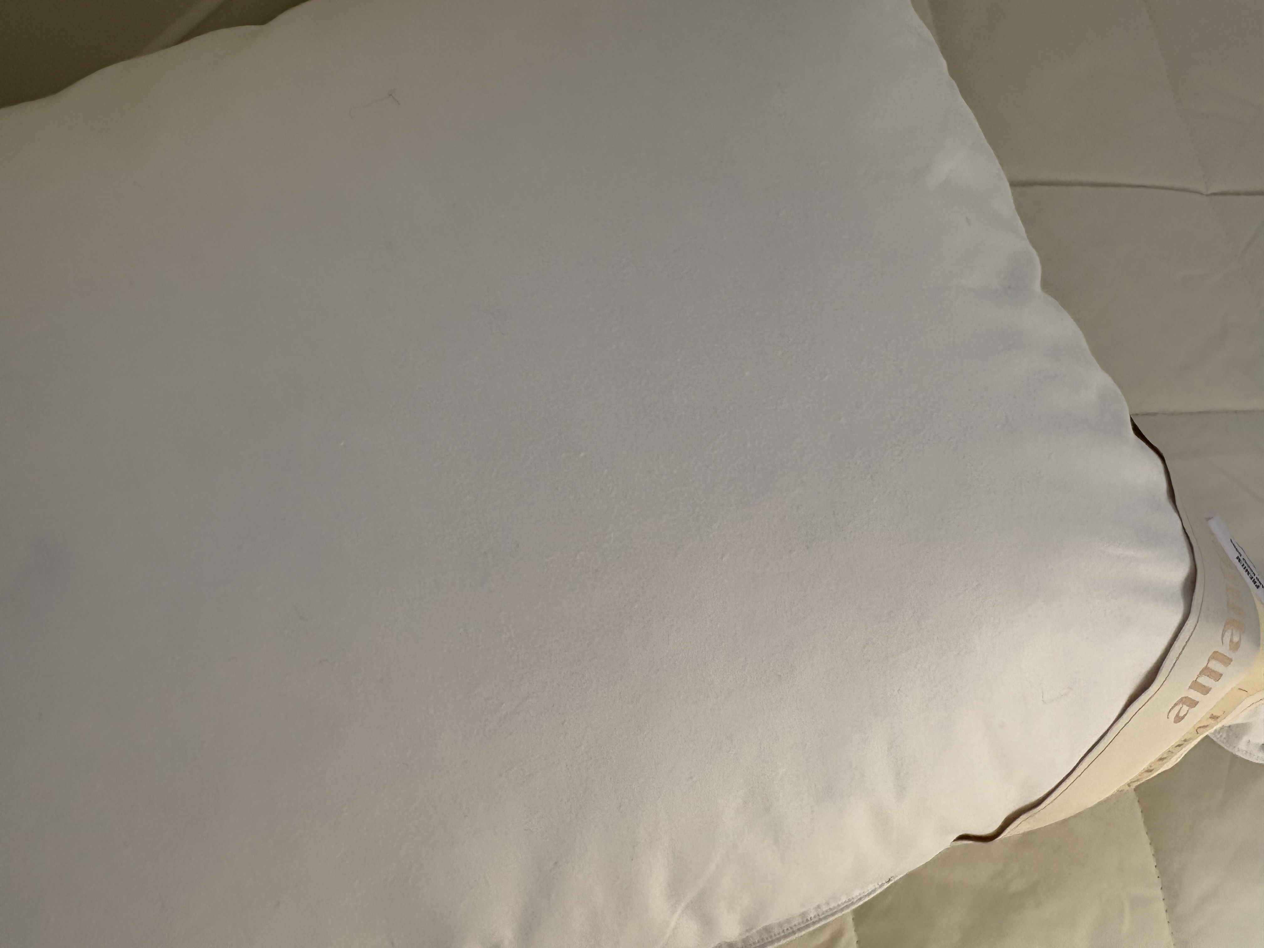 이미지를 찾을 수 없습니다.