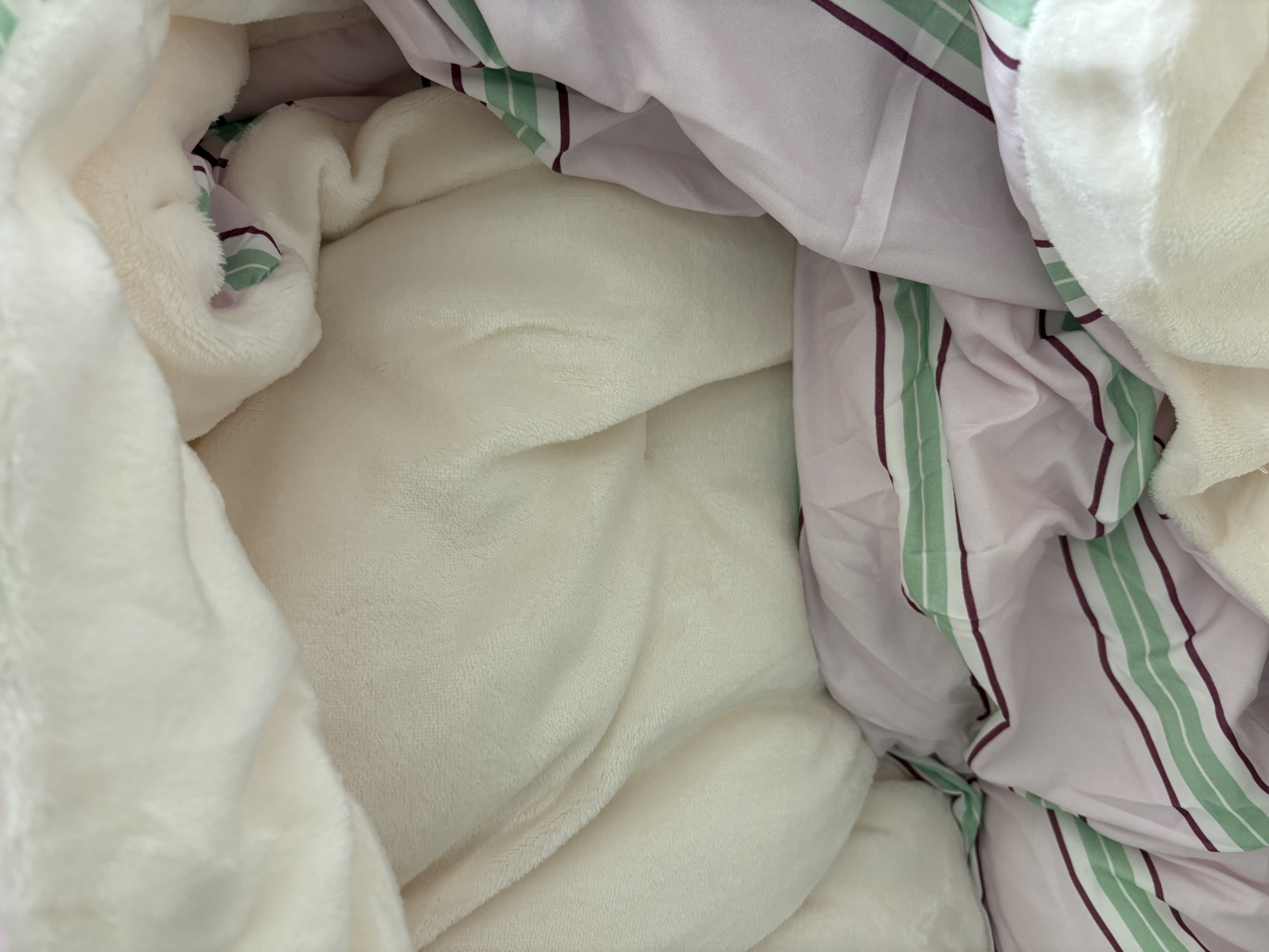 이미지를 찾을 수 없습니다.