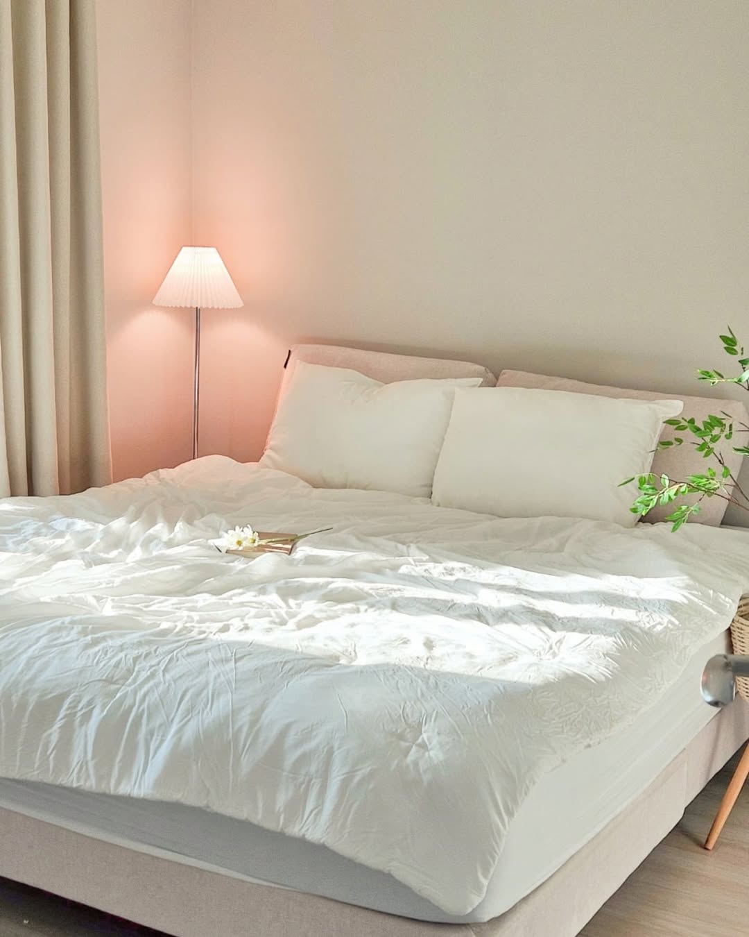 이미지를 찾을 수 없습니다.