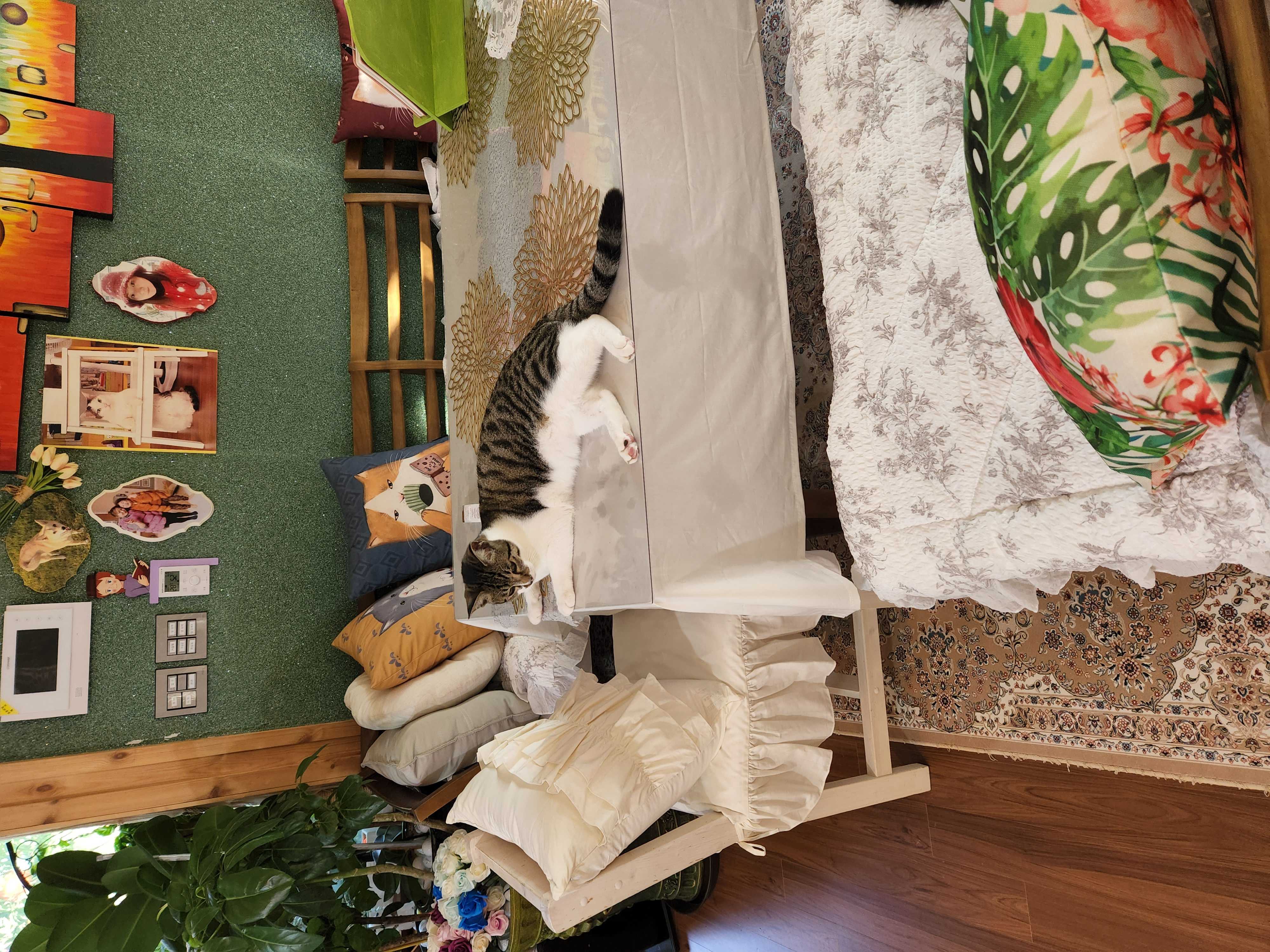 이미지를 찾을 수 없습니다.